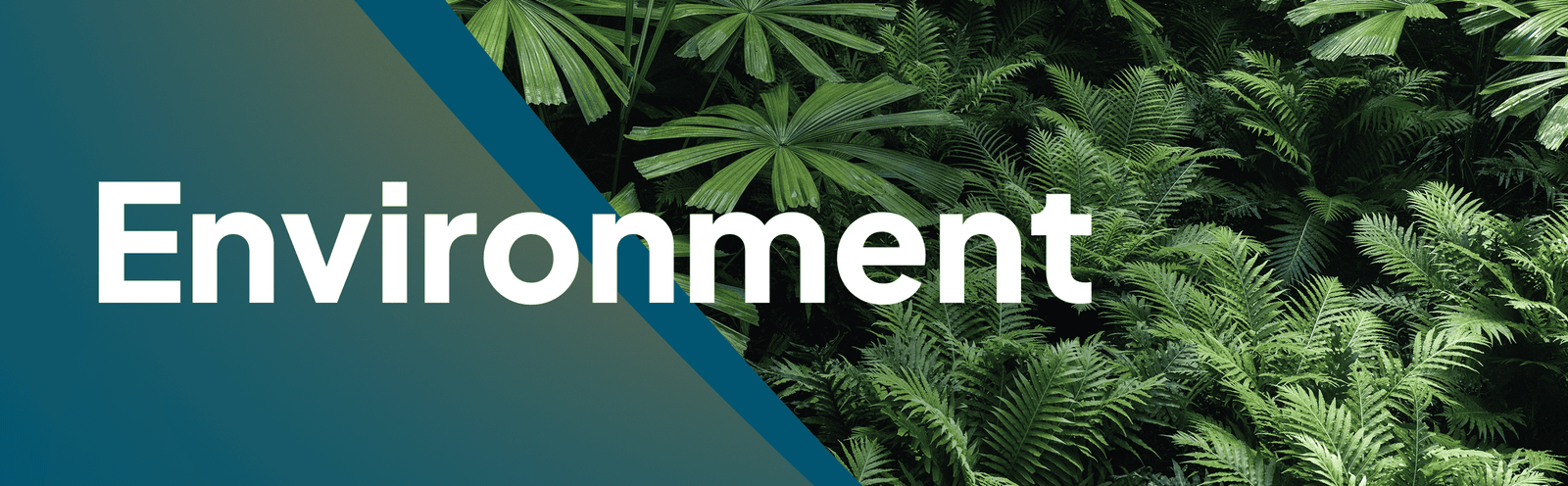 environment csr